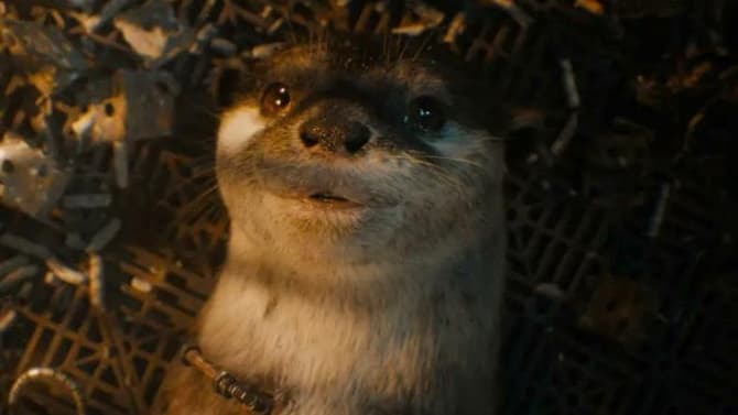 New GUARDIANS OF THE GALAXY VOL. 3 Clip Introduces Rocket's Adorable Counter-Earth Pals