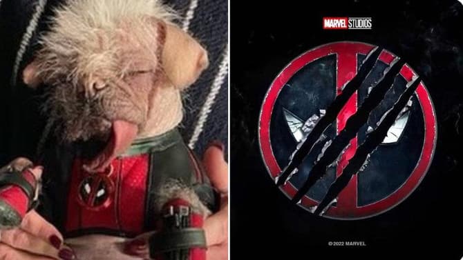 DEADPOOL 3: Dogpool Officially Wraps Filming; Shares New BTS Photo & Heartfelt Instagram Message