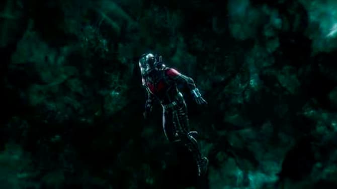 ANT-MAN AND THE WASP Director Peyton Reed &quot;Won't Rule Out&quot; This Popular AVENGERS 4 Theory - SPOILERS